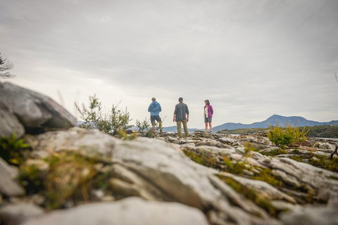 Southwest Tasmania Wilderness Experience: Fly Cruise And Walk Including Lunch - Attractions Melbourne 5