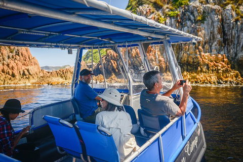 Southwest Tasmania Wilderness Experience: Fly Cruise And Walk Including Lunch - Attractions Melbourne 11