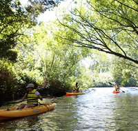 Paddle with the Platypus Twilight Kayak Adventure - Attractions Melbourne