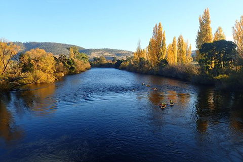 Paddle With The Platypus Twilight Kayak Adventure - Attractions Melbourne 3