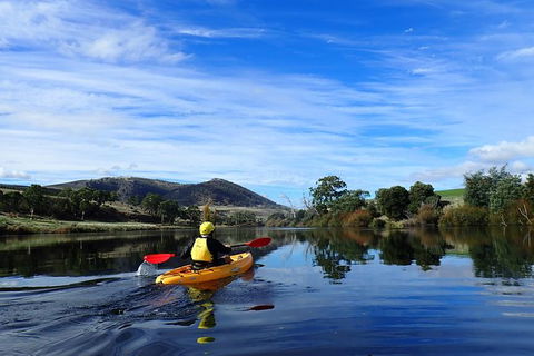 Paddle With The Platypus Twilight Kayak Adventure - Attractions Melbourne 5