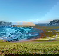 Cruise Ship Special from Burnie to Stanley and The Nut - Attractions Melbourne