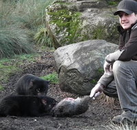 After Dark Tasmanian Devil Feeding Tour at Cradle Mountain - Attractions Melbourne