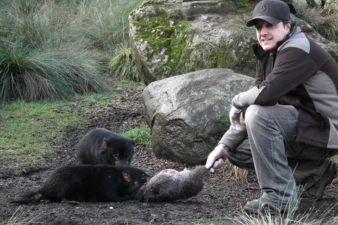 After Dark Tasmanian Devil Feeding Tour At Cradle Mountain - Attractions Melbourne 0
