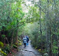 kunanyi/Mt Wellington Explorer Bus - One Way Tour - Attractions Melbourne