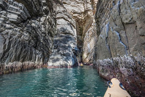 Hobart\'s Cliffs, Caves And Beaches Kayak Tour - Attractions Melbourne 6