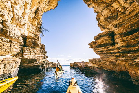 Hobart\'s Cliffs, Caves And Beaches Kayak Tour - Attractions Melbourne 0