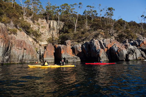 Hobart\'s Cliffs, Caves And Beaches Kayak Tour - Attractions Melbourne 7