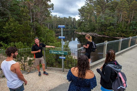 Tahune Airwalk Active Day Trip From Hobart Including Hastings Caves - Attractions Melbourne 3