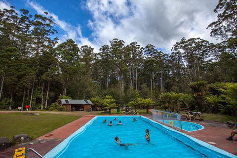 Tahune Airwalk Active Day Trip From Hobart Including Hastings Caves - Attractions Melbourne 2