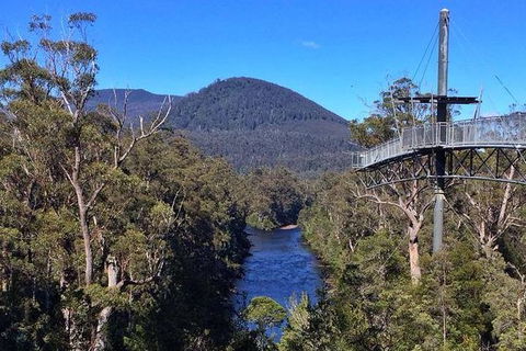 Tahune Airwalk Active Day Trip From Hobart Including Hastings Caves - Attractions Melbourne 6