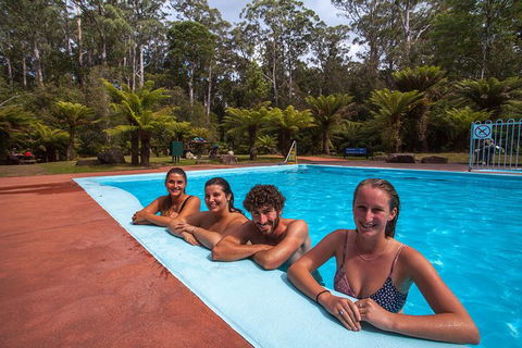 Tahune Airwalk Active Day Trip From Hobart Including Hastings Caves - Attractions Melbourne 4