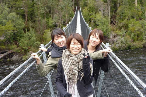 Tahune Airwalk Active Day Trip From Hobart Including Hastings Caves - Attractions Melbourne 7