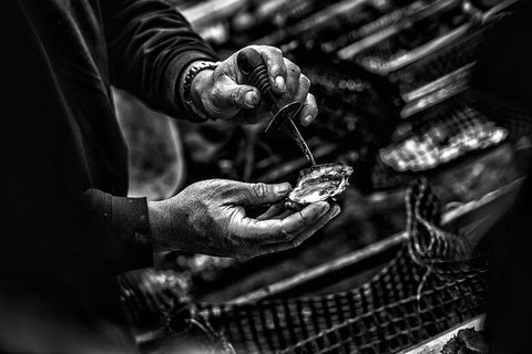 Full Day Tour Hobart: East Coast Classic Wine, Beach, Oysters, Seafood & Berries - Attractions Melbourne 17