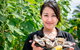 Full Day Tour Hobart: East Coast Classic Wine, Beach, Oysters, Seafood & Berries - thumb 19