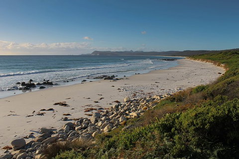 Full Day Tour Hobart: East Coast Classic Wine, Beach, Oysters, Seafood & Berries - Attractions Melbourne 4