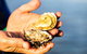 Full Day Tour Hobart: East Coast Classic Wine, Beach, Oysters, Seafood & Berries - thumb 11