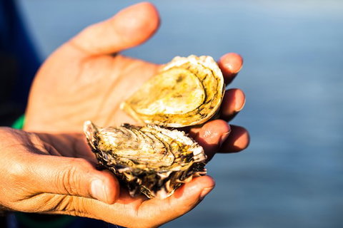 Full Day Tour Hobart: East Coast Classic Wine, Beach, Oysters, Seafood & Berries - Attractions Melbourne 11