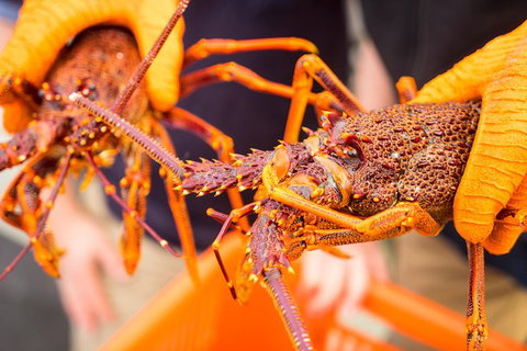 Full Day Tour Hobart: East Coast Classic Wine, Beach, Oysters, Seafood & Berries - Attractions Melbourne 12