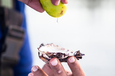Full Day Tour Hobart: East Coast Classic Wine, Beach, Oysters, Seafood & Berries - Attractions Melbourne 18