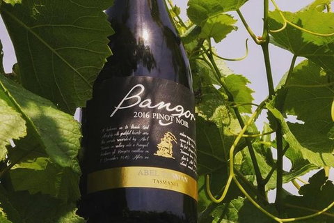 Full Day Tour Hobart: Port Arthur McHenry Gins Bangor Vineyard Wines + Oysters - Attractions Melbourne 2