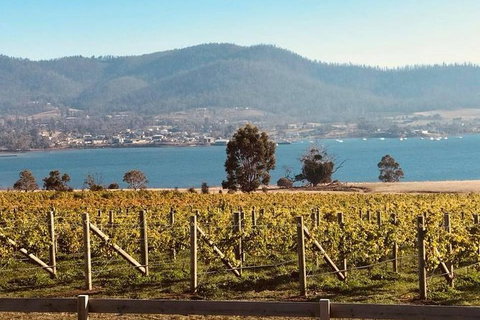 Full Day Tour Hobart: Port Arthur McHenry Gins Bangor Vineyard Wines + Oysters - Attractions Melbourne 22