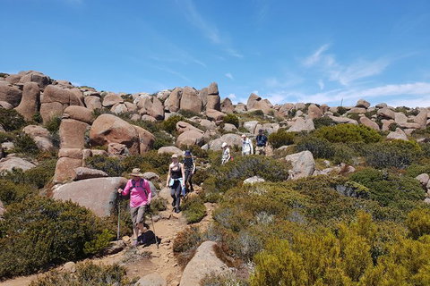 Alpine Loop - Attractions Melbourne 2