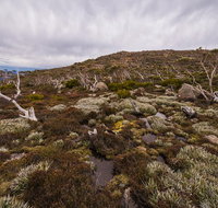 Alpine Loop - Attractions Melbourne