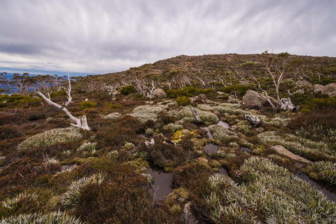 Alpine Loop - Attractions Melbourne 0