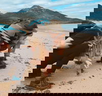 Freycinet Walking Tour - Attractions Melbourne