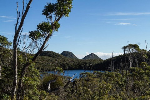 Hartz Mountains Premium Private Photo-oriented Day Tour From Hobart - Attractions Melbourne 1
