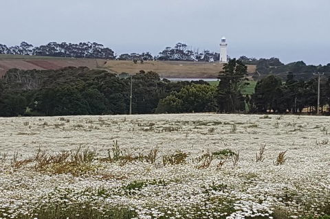 Cruise Ship Excursion: Stanley - Attractions Melbourne 7