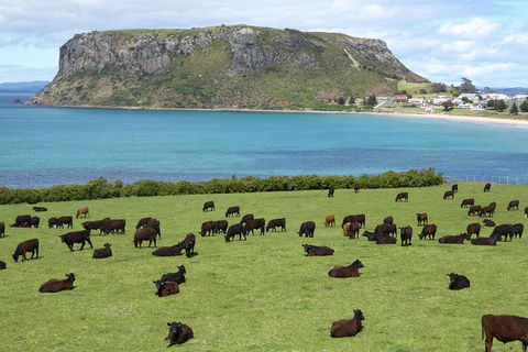 Cruise Ship Excursion: Stanley - Attractions Melbourne 0