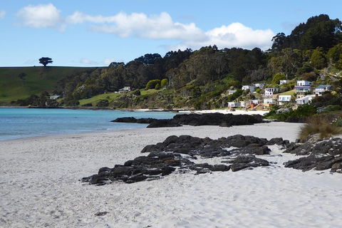 Cruise Ship Excursion: Stanley - Attractions Melbourne 10