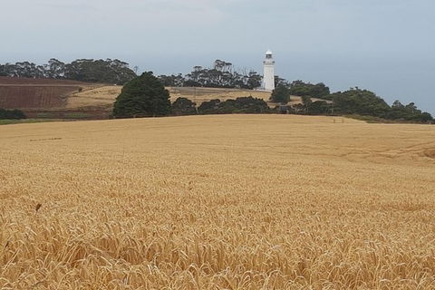 Cruise Ship Excursion: Stanley - Attractions Melbourne 16