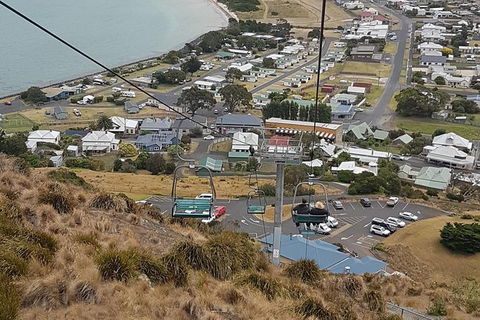 Cruise Ship Excursion: Stanley - Attractions Melbourne 14