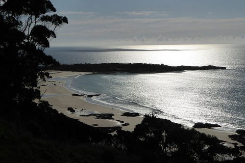 Cruise Ship Excursion: Stanley - Attractions Melbourne 24