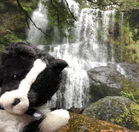 Waterfalls Guided Tour - Attractions Melbourne