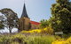 Cruise Ship Special From Hobart: Richmond And Bonorong Wildlife Park Shuttle - thumb 5