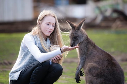 Cruise Ship Special From Hobart: Richmond And Bonorong Wildlife Park Shuttle - Attractions Melbourne 4