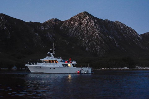 5-Day Expedition Of Bathurst Harbour And Port Davey On-Board MV Odalisque From Hobart - Attractions Melbourne 1