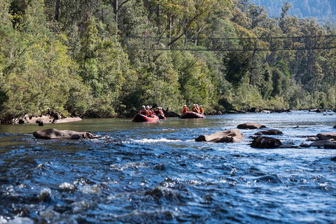 Twin Rivers Adventure - Attractions Melbourne 1