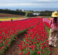 Table Cape Lighthouse Tours - Attractions Melbourne