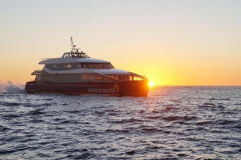 Afternoon Gordon River Dinner Cruise - Departing 3pm - Attractions Melbourne 0
