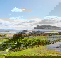 Launceston Wine  Sightseeing Tours - Attractions Melbourne