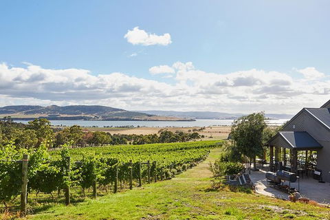Launceston Wine & Sightseeing Tours - Attractions Melbourne 0