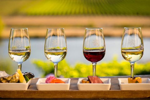 Launceston Wine & Sightseeing Tours - Attractions Melbourne 4