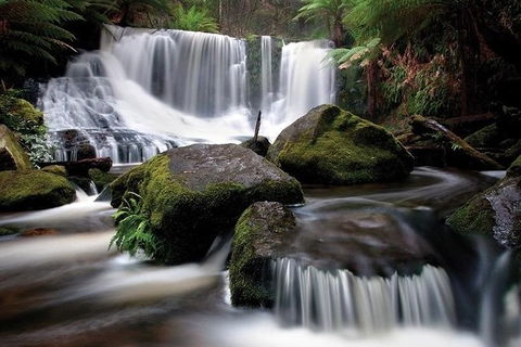 Highlights Of Tasmania Premium Small Group 7 Days Touring Package - Attractions Melbourne 7