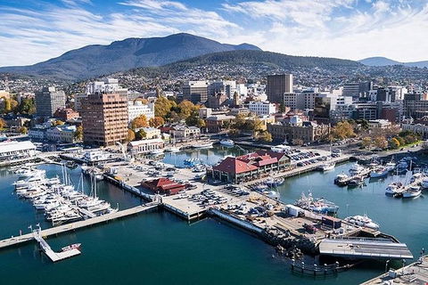 Highlights Of Tasmania Premium Small Group 7 Days Touring Package - Attractions Melbourne 11