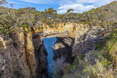 Highlights Of Tasmania Premium Small Group 7 Days Touring Package - Attractions Melbourne 10